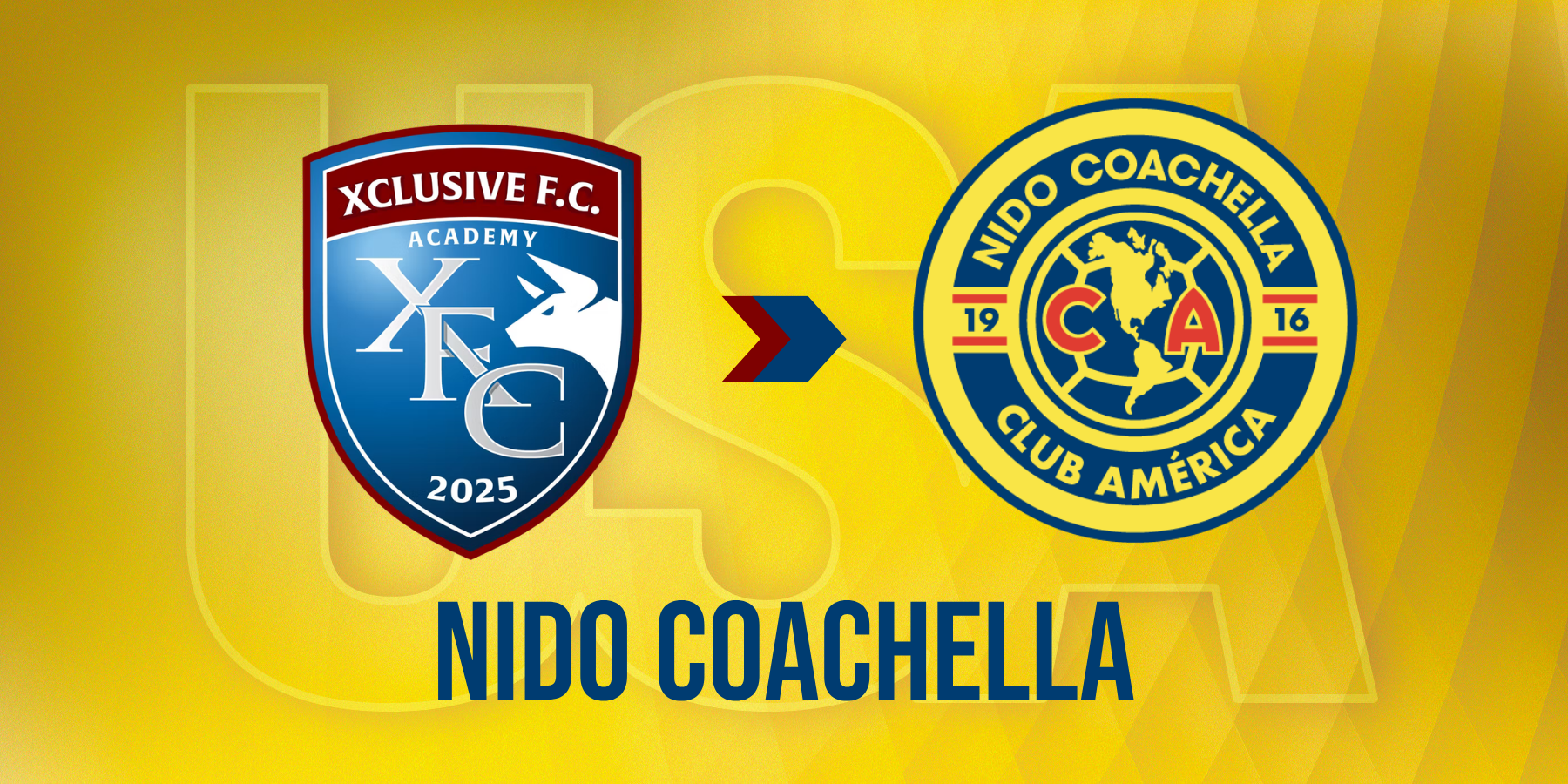 Nido COACHELLA